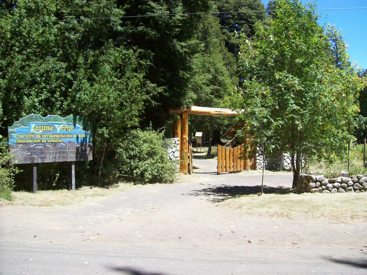 Laguna verde / Selva triste