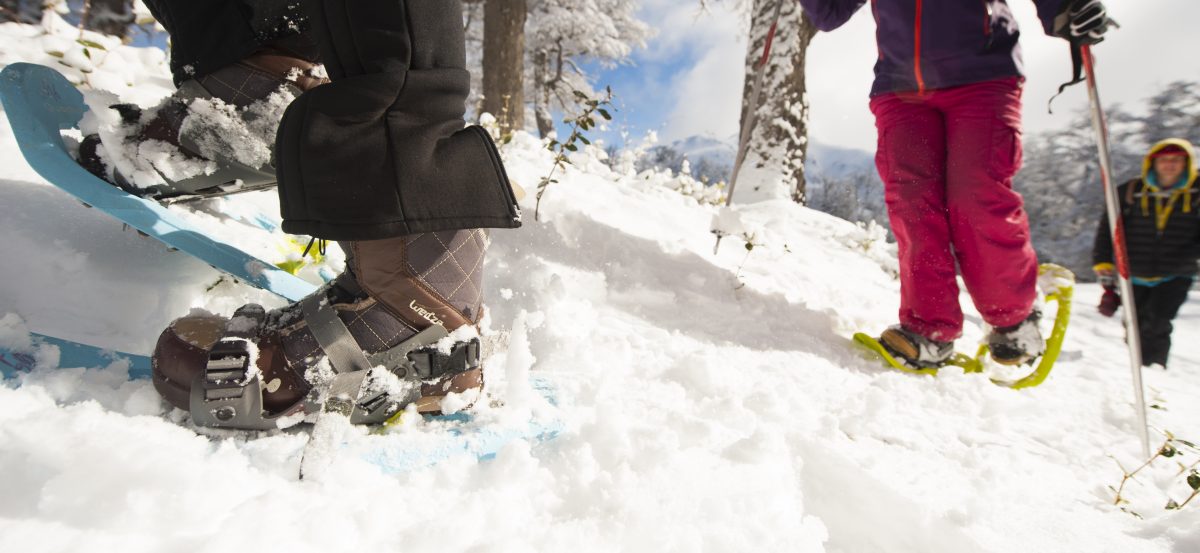 Cross-country Ski / Snowshoe Hikes