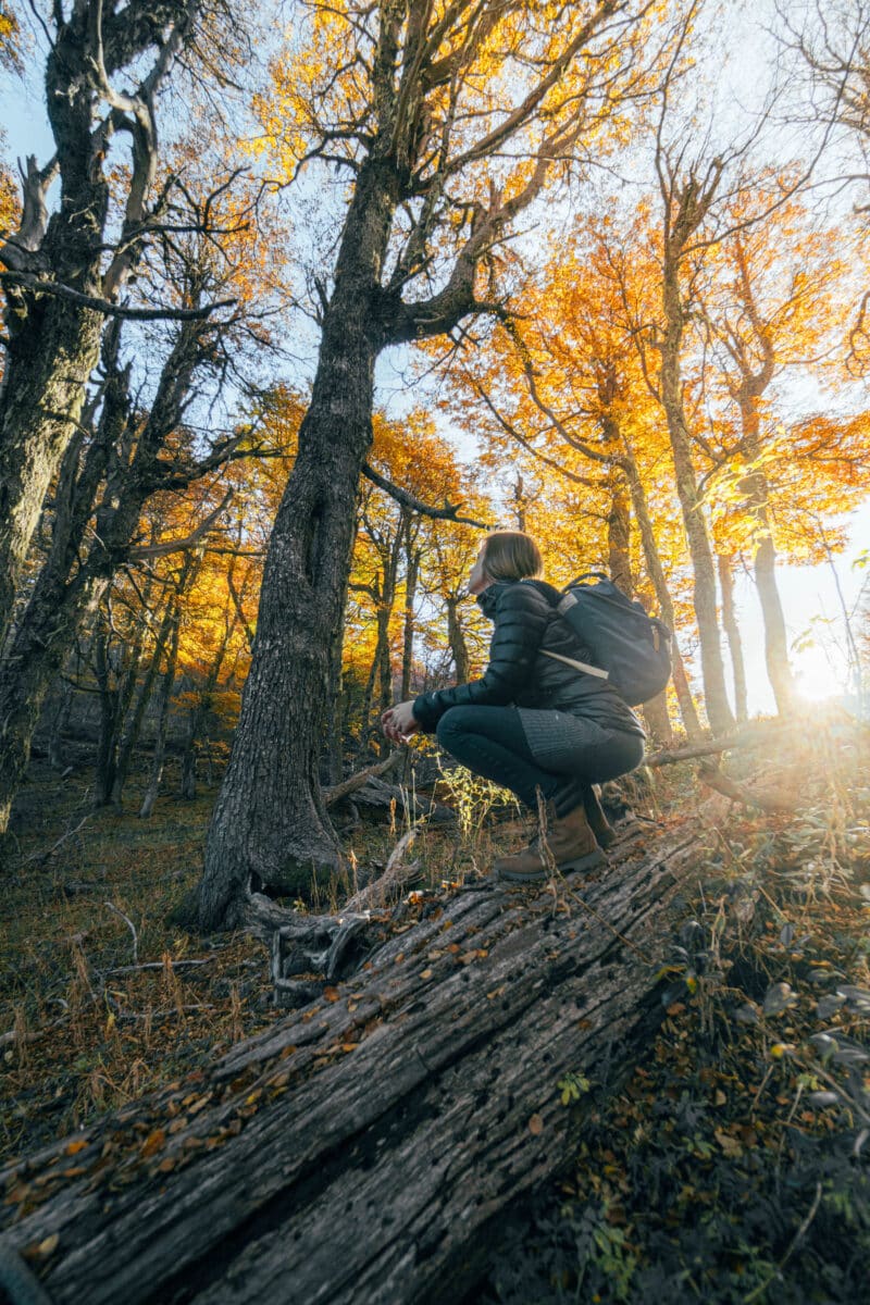 Trekking / Senderismo / Running