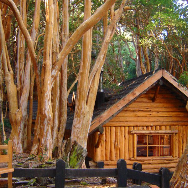 O Parque Nacional Arrayanes é a finalista das 7 Maravilhas Naturais de Argentina!