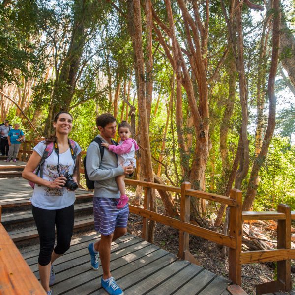 Ingreso al Parque Nacional Arrayanes