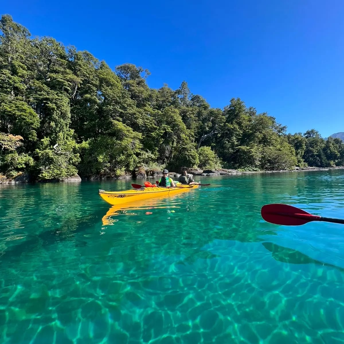 Navegación en kayak en las aguas critalinas de los lagos que rodean a Villa La Angostura.