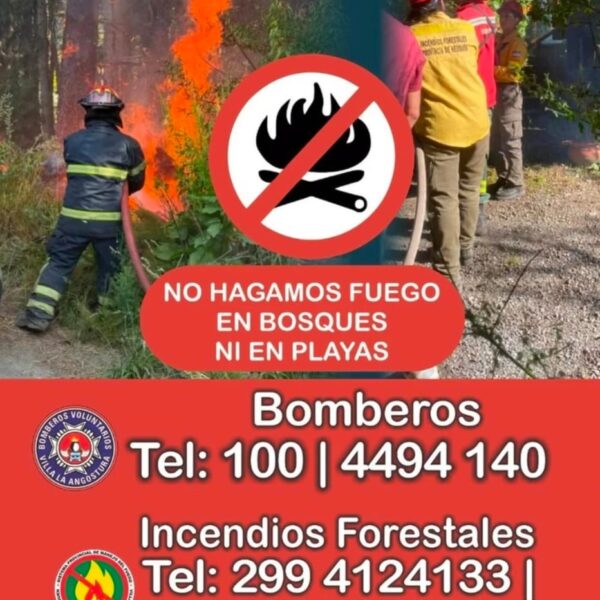 Evitemos incendios forestales